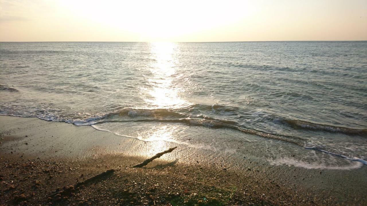 La Stanza Del Podere Isabella Hotel San Vincenzo Eksteriør billede