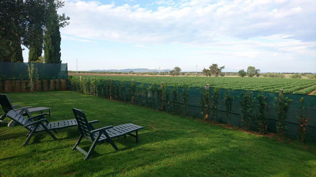 La Stanza Del Podere Isabella Hotel San Vincenzo Eksteriør billede