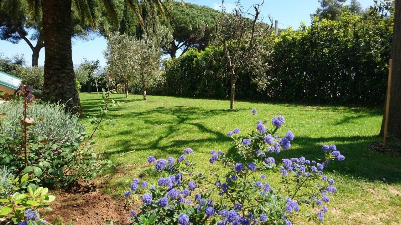La Stanza Del Podere Isabella Hotel San Vincenzo Eksteriør billede
