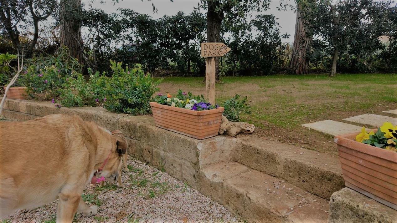 La Stanza Del Podere Isabella Hotel San Vincenzo Eksteriør billede