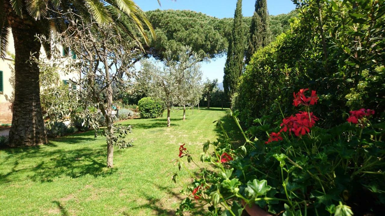 La Stanza Del Podere Isabella Hotel San Vincenzo Eksteriør billede